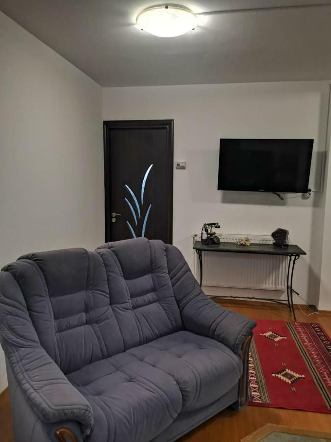 Viking Apartment Grigo Kluž Pokoj fotografie